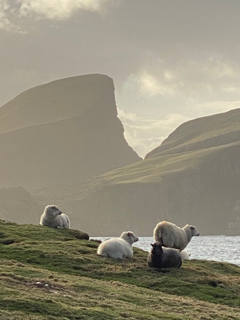 Flight to Fair Isle