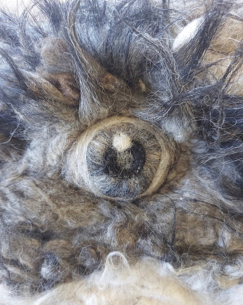 Creepy Eyeball Needlefelting Workshop - Saturday 7th Nov - 2pm - 4pm - Shedio