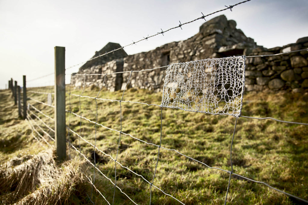 Crugga Rosebud Fence with Ruin